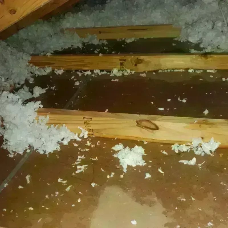 Attic Water Damage in Nelson, NE