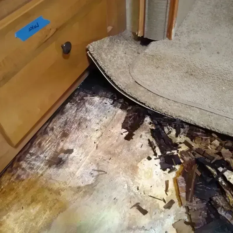 Wood Floor Water Damage in Nelson, NE